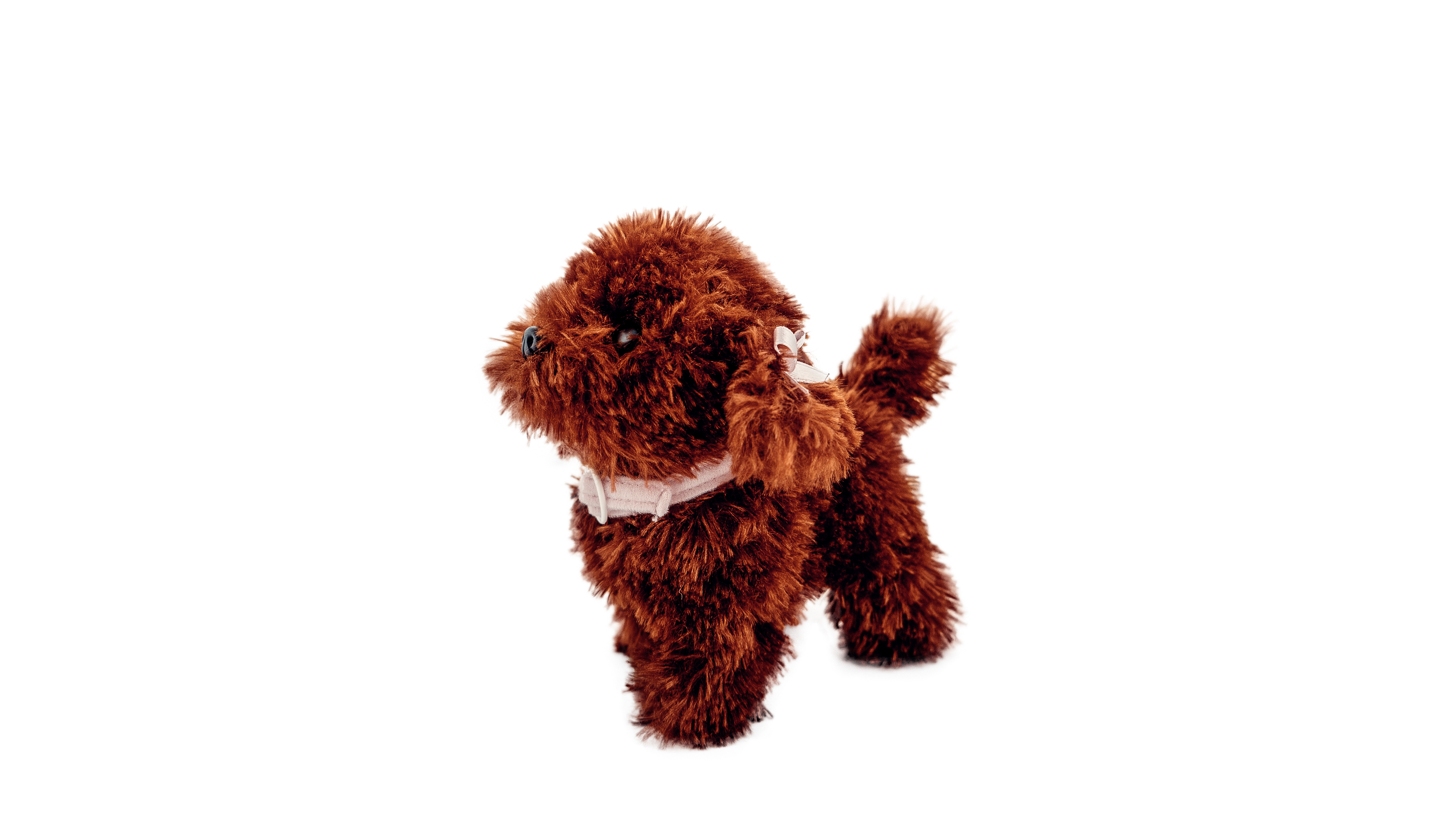 My Friend - Walking Puppy Poodle
