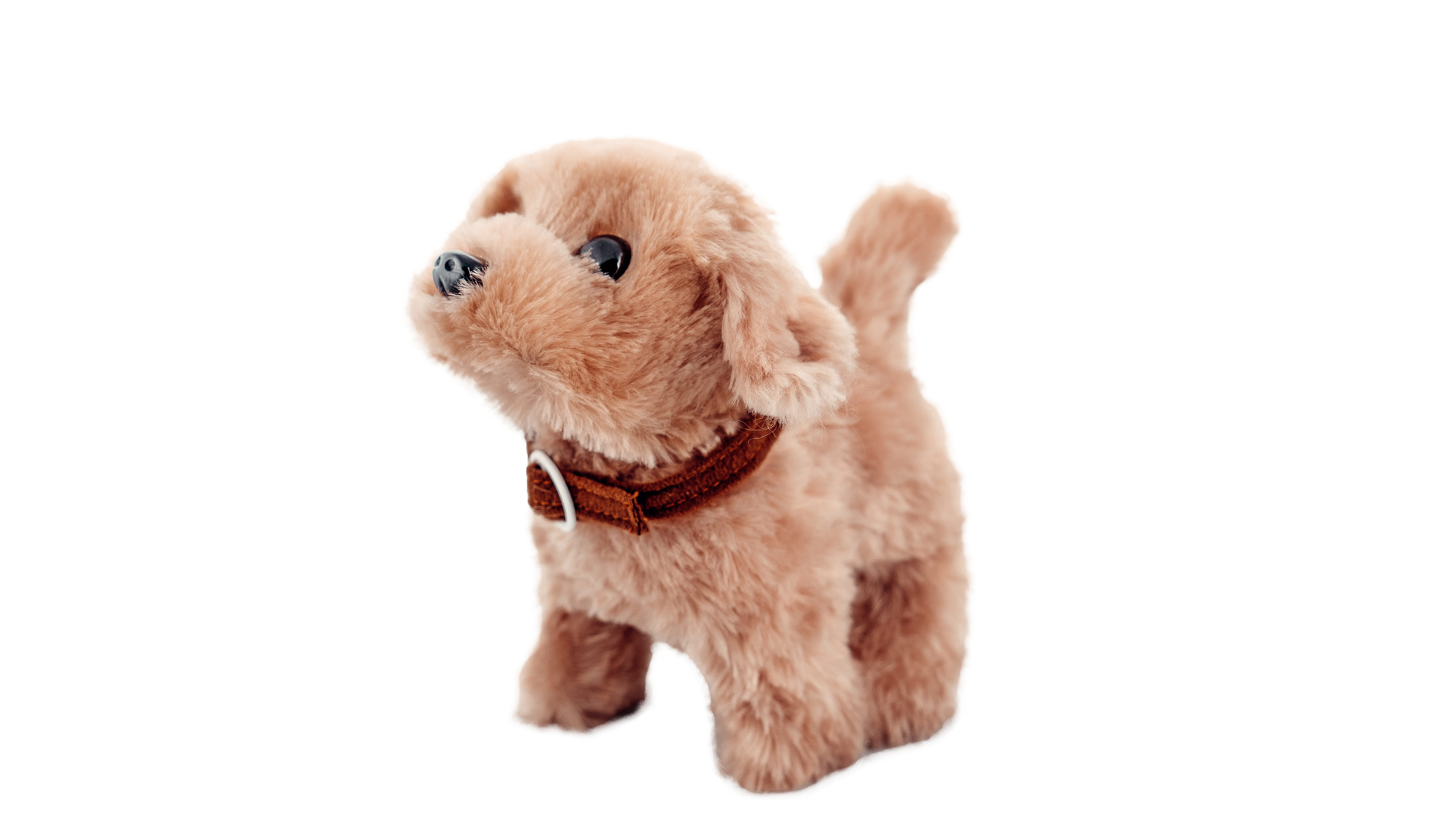 My Friend - Walking Puppy Retriever